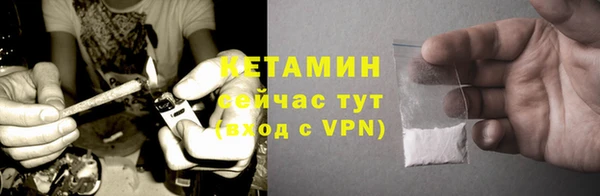 индика Арсеньев