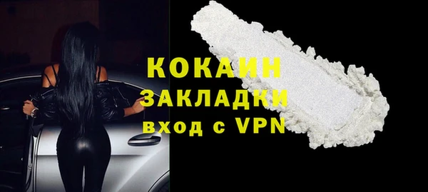 индика Арсеньев
