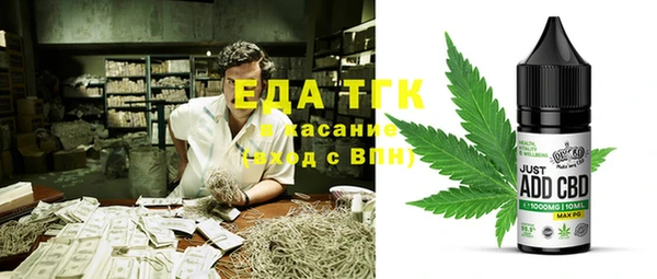 индика Арсеньев