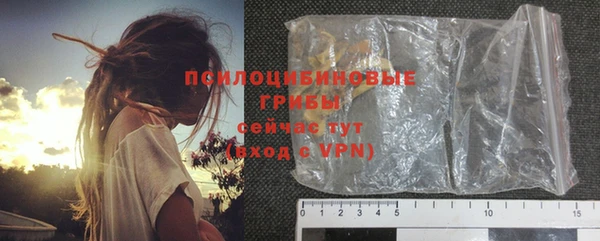 индика Арсеньев