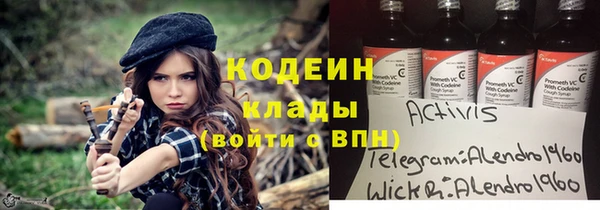 стаф Алексин